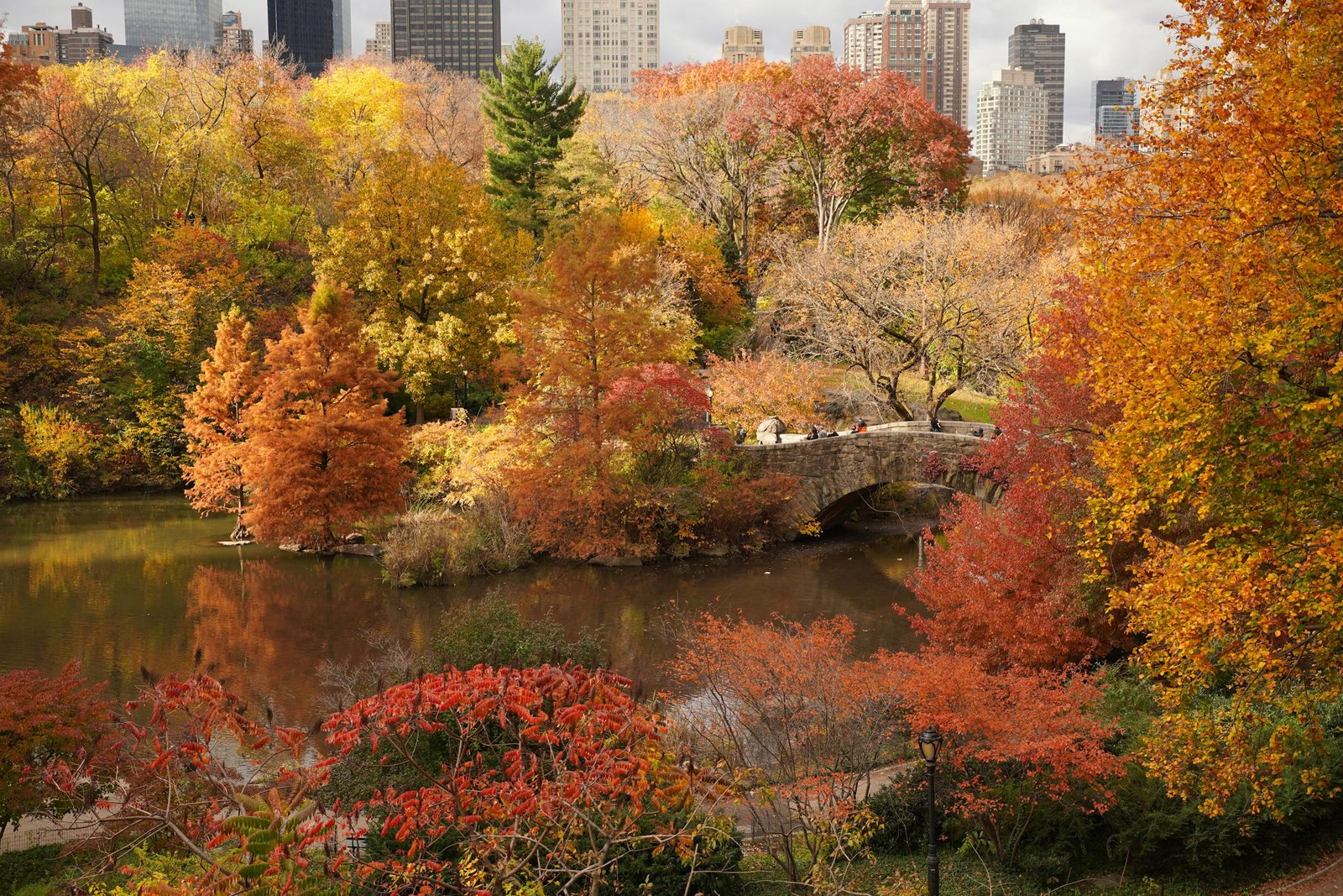 Stunning aerial view of Central Park's autumn foliage with New York City skyline in the background.
