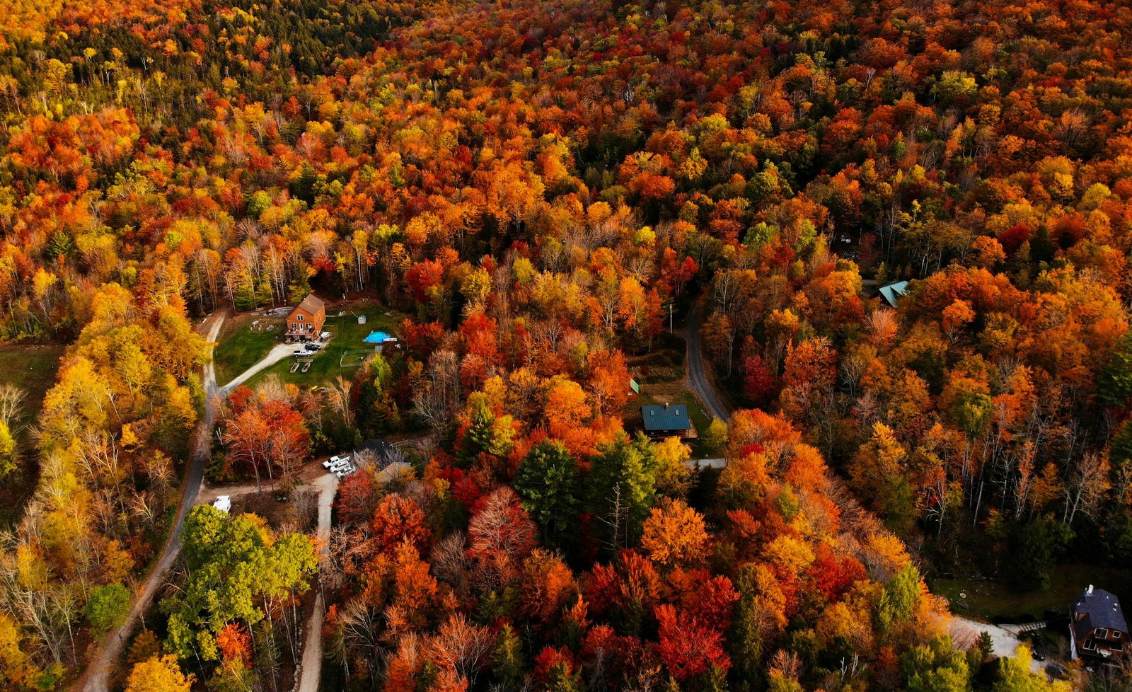 Stunning aerial view of colorful autumn trees surrounding rural homes in Vermont, USA.