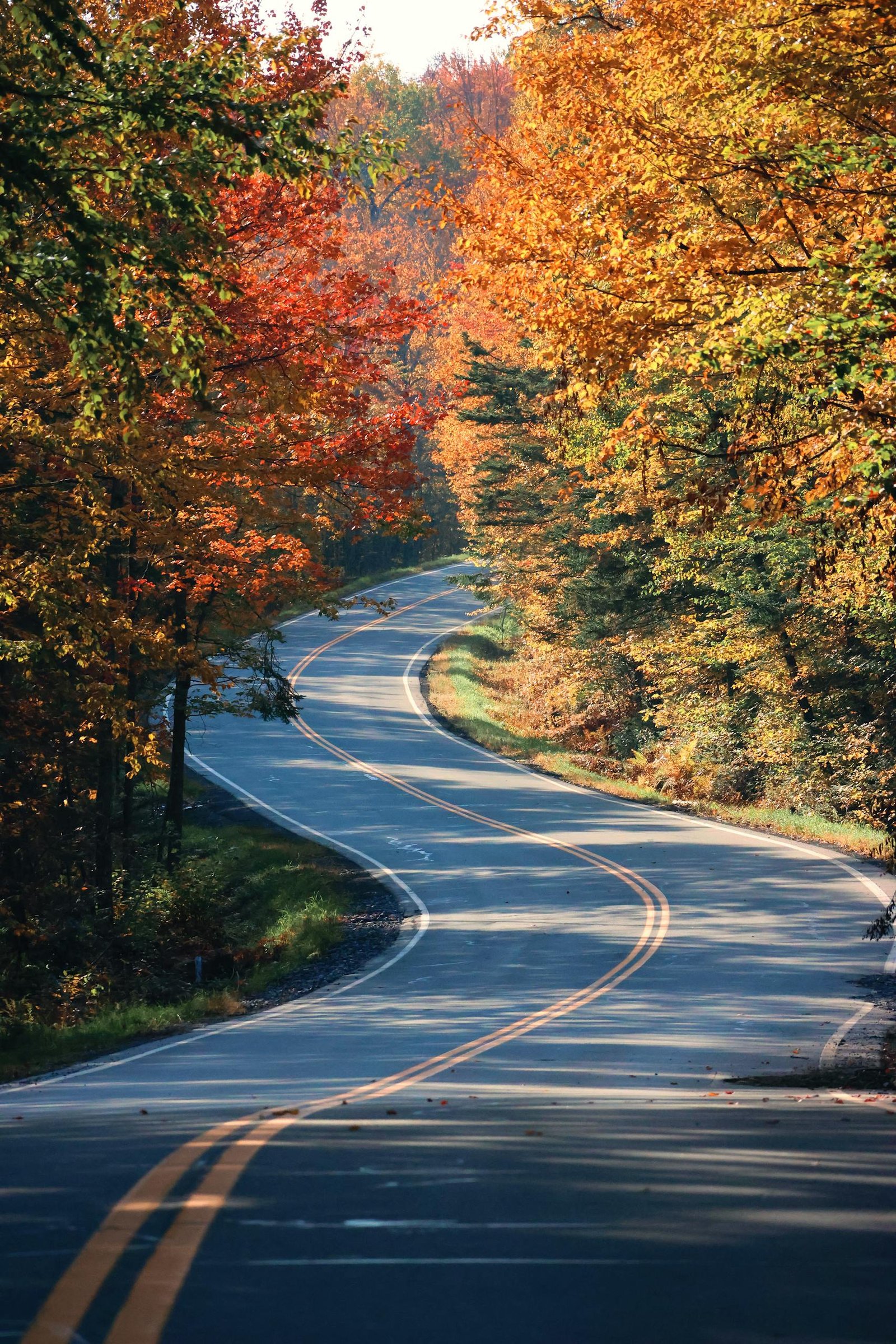 Winding road surrounded by vibrant autumn foliage in Vermont forest, capturing fall's beauty.