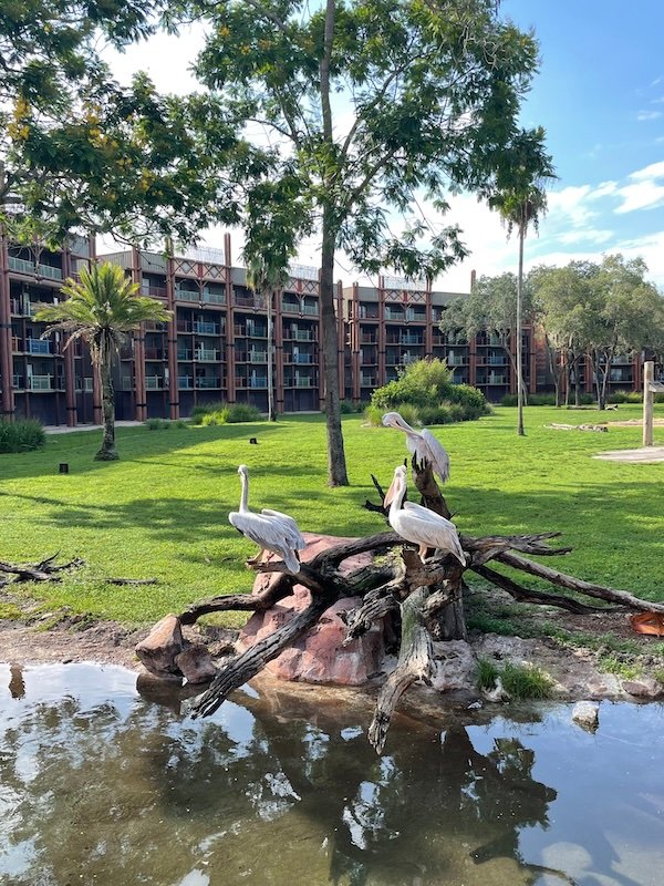 Wildlife out on the savannah at Animal Kingdom at Disney World