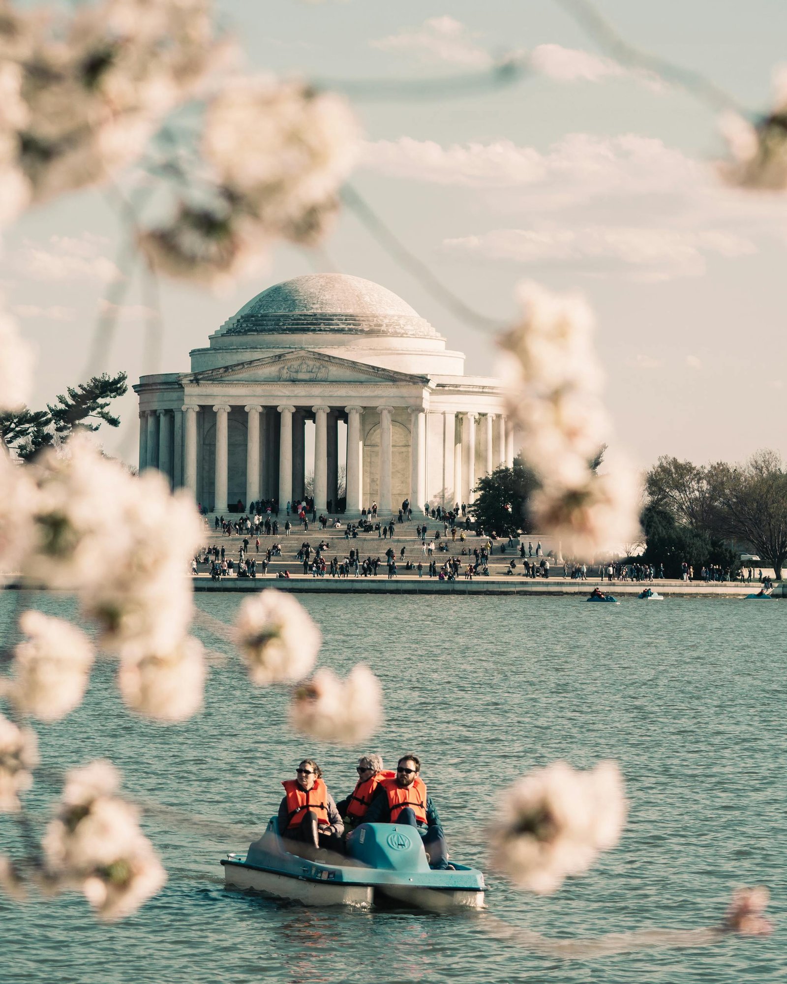 Tourists paddle on Tidal Basin with the Jefferson Memorial framed by cherry blossoms on a sunny spring day.