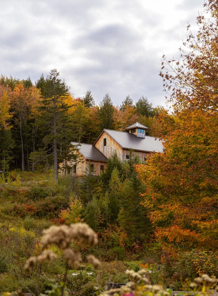 Scenic view of a rustic farmhouse surrounded by vibrant fall foliage in Stowe, VT.