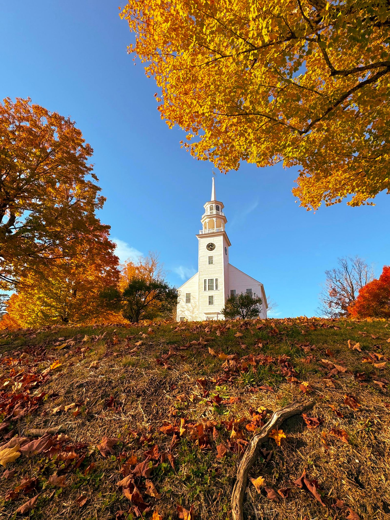 Sanctuary in Autumn’s Embrace