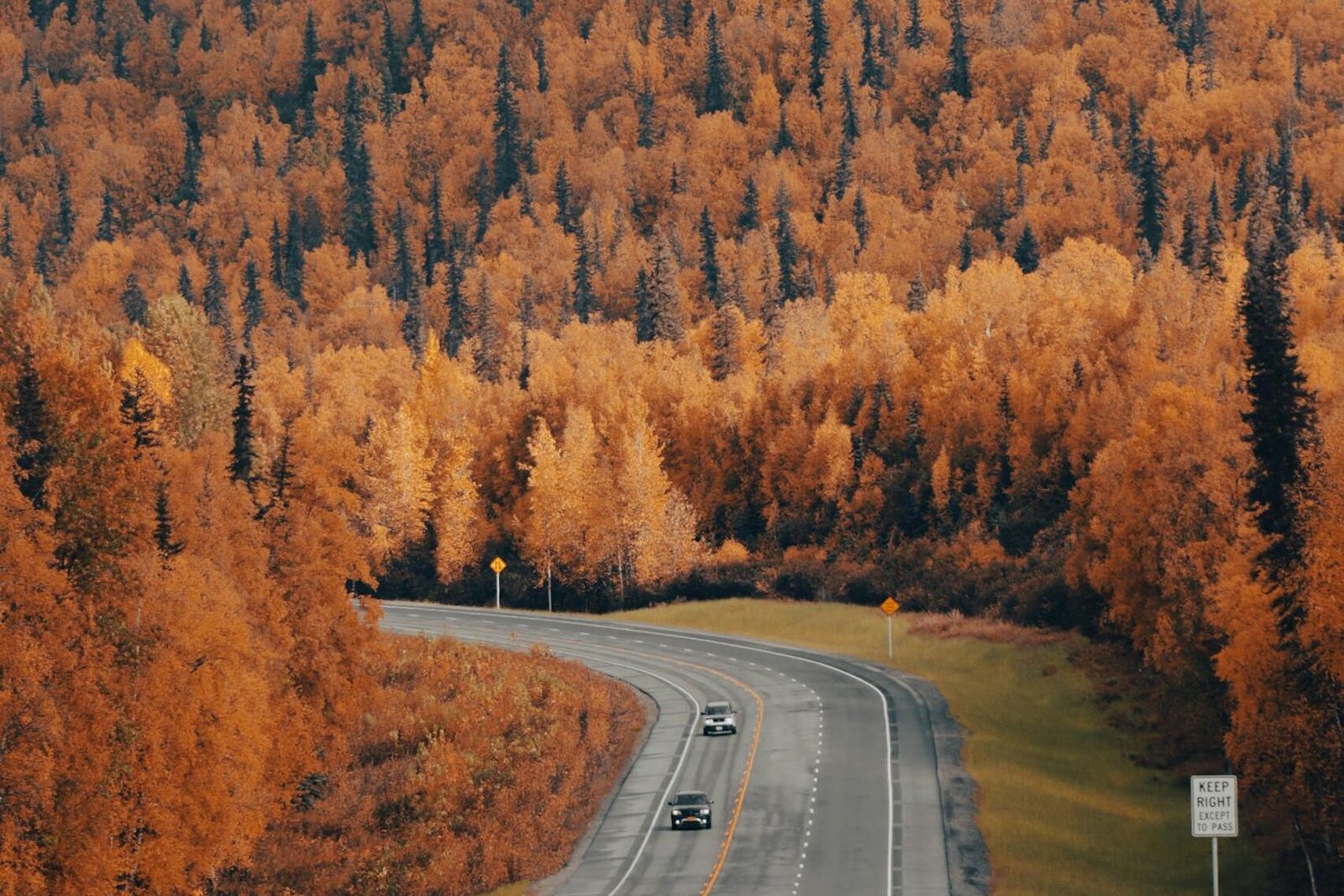 Capture of a winding highway through fall foliage in Talkeetna, Alaska.