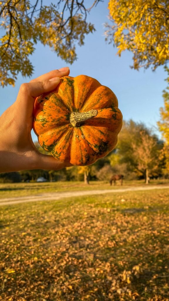 Close-up of a hand holding an orange pumpkin with fall leaves in the background.
