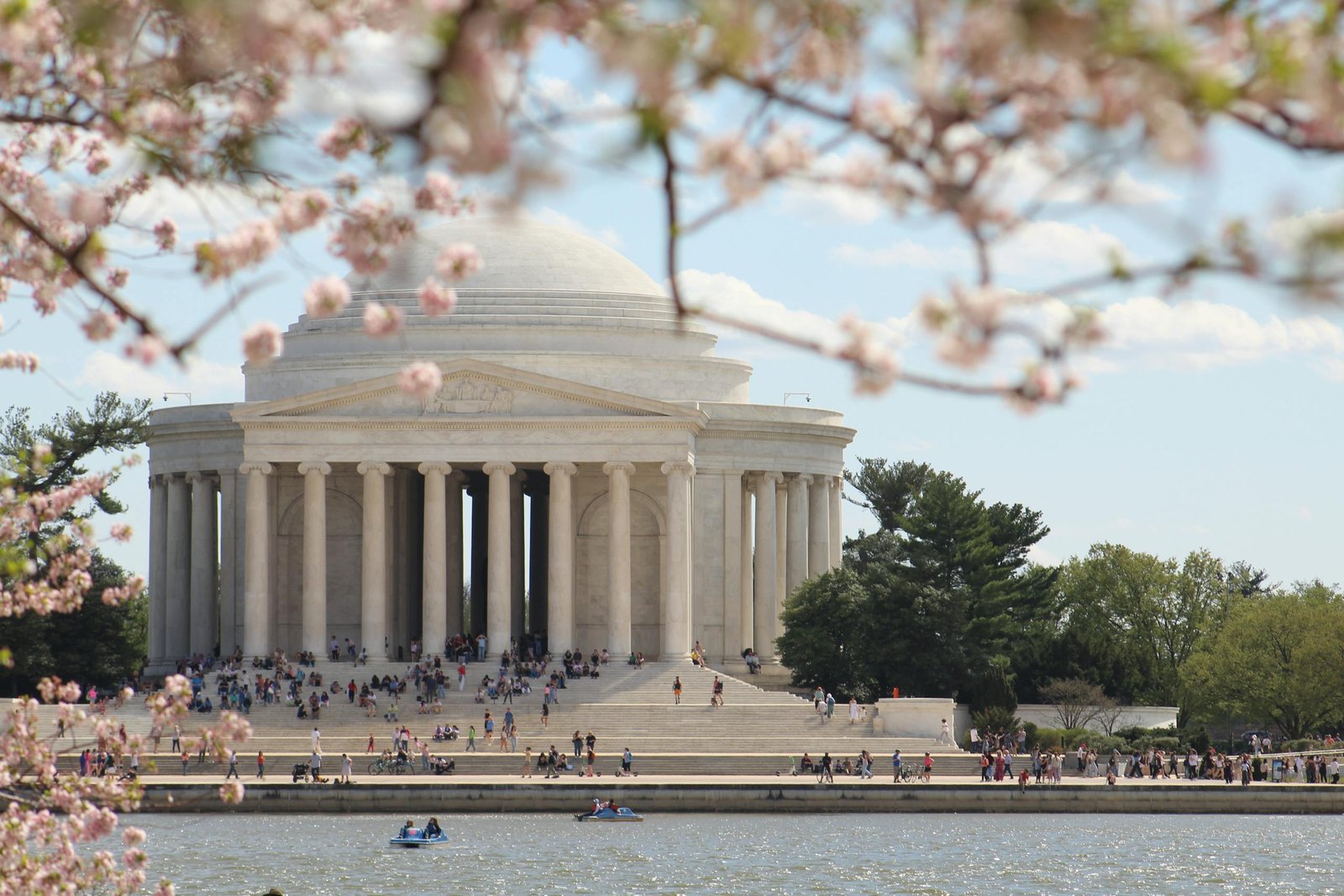 Stunning view of the Jefferson Memorial framed by cherry blossoms in Washington, D.C., during spring.